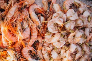 Decoding the Cost Factors of Tiger Shrimp