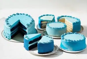 Bluey character cake 